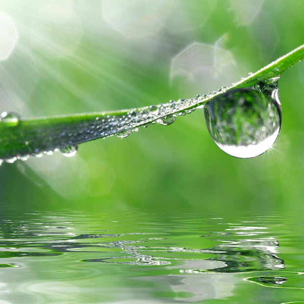 KYO Restruct System Shampoo 250 ml