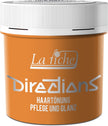 La Riche Directions Haartönung 100ml