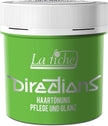 La Riche Directions Haartönung 100ml